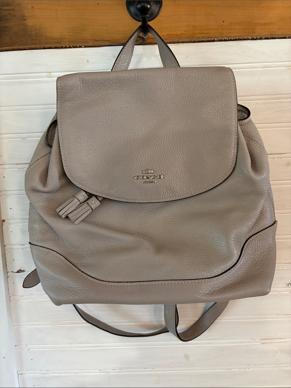 Coach Leather Backpack in Taupe Gray